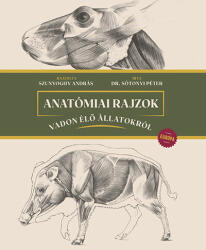 Anatómiai rajzok vadon élő állatokról - Európa (2024)