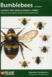 Bumblebees (ISBN: 9781907807060)
