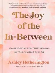 The Joy of the In-Between (ISBN: 9780593600696)