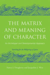 Matrix and Meaning of Character - Nancy Dougherty (ISBN: 9780415403009)