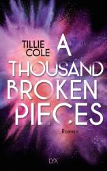 A Thousand Broken Pieces (ISBN: 9783736323025)