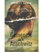 Gemenele de la Auschwitz - Affinity Konar (ISBN: 9786303196961)