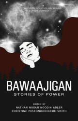Bawaajigan: Stories of Power: The Exile Book of Anthology Series: Number Eighteen (ISBN: 9781550968415)