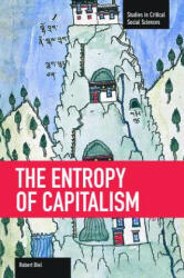 Entropy Of Capitalism - Robert Biel (2013)