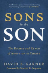 Sons in the Son: The Riches and Reach of Adoption in Christ - David B. Garner (ISBN: 9781629950723)