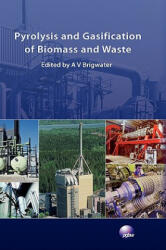 Pyrolysis and Gasification of Biomass and Waste - Anthony V Bridgwater (ISBN: 9781872691770)