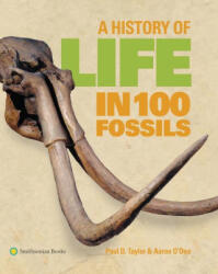 A History of Life in 100 Fossils - Aaron O'Dean (ISBN: 9781588347701)