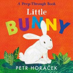 Little Bunny (ISBN: 9781529517354)