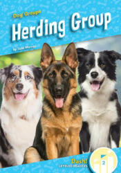 Herding Group (ISBN: 9781098284015)