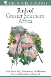 Field Guide to Birds of Greater Southern Africa - Terry Stevenson, John Fanshawe, Keith Barnes (2024)