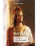 Daniel. Volumul 3. Sef de promotie - Paul Boeru (ISBN: 9786060874881)