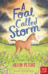 A Foal Called Storm (ISBN: 9781788009515)