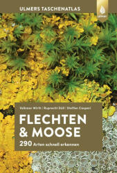 Flechten und Moose - Ruprecht Düll, Steffen Caspari (ISBN: 9783818620509)