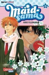 Maid-sama. Bd. 13 (2013)