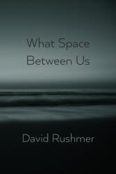What Space Between Us (ISBN: 9781848618299)
