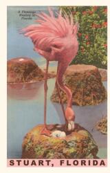 Vintage Journal Flamingo Nesting in Stuart Florida (ISBN: 9781669518839)