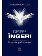 Despre ingeri - intrebari si raspunsuri - Ovidiu Dragos Argesanu (ISBN: 9786069721179)