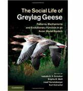 The Social Life of Greylag Geese: Patterns, Mechanisms and Evolutionary Function in an Avian Model System - Isabella B. R. Scheiber, Brigitte M. Weib, Josef Hemetsberger, Kurt Kotrschal (2013)