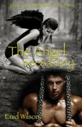 The Angel Sees Grey: Pleasure & Punishment for Mr. Darcy - Enid Wilson (ISBN: 9781494783167)