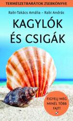 Kagylók és csigák (2024)