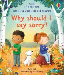 Why should I say sorry? (ISBN: 9781803701967)
