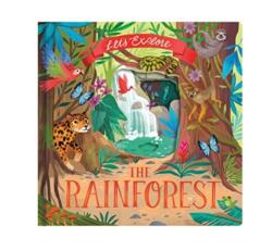 Let'S Explore the Rainforest (ISBN: 9781839234491)