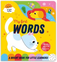 Carte pentru copii, NPP, RAINBOW-COATED BOARD BOOK - FIRST WORDS, 6 luni+ (ISBN: 9781835090213)