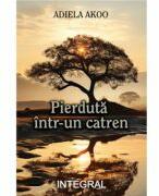 Pierduta intr-un catren - Adiela Akoo (ISBN: 9786069927335)
