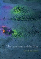 Luminous and the Grey - David Batchelor (2014)