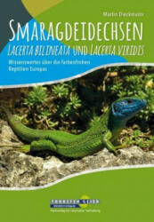 Smaragdeidechsen Lacerta bilineata und Lacerta viridis - Martin Dieckmann (2017)