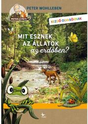Mit esznek az állatok az erdőben? (2024)