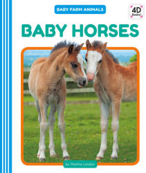 Baby Horses (ISBN: 9781532167454)