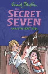 Secret Seven: Fun For The Secret Seven (2013)