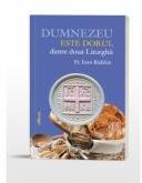 Dumnezeu este dorul dintre doua liturghii - Pr. Ioan Badilita (ISBN: 9786303011240)