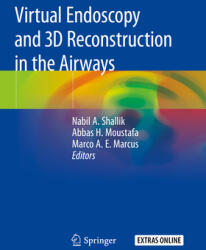 Virtual Endoscopy and 3D Reconstruction in the Airways (ISBN: 9783030232559)