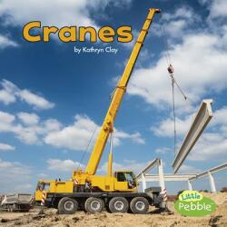 Cranes (ISBN: 9781515725336)