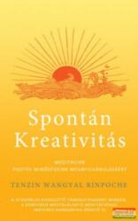 Tenzin Wangyal Rinpocse - Spontán kreativitás (ISBN: 9789633020005)