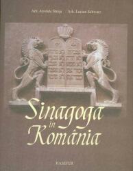 Sinagoga în România (ISBN: 9789736303258)