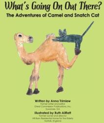 What's Going On Out There? : The Adventures of Camel and Snatch Cat (ISBN: 9781947589377)