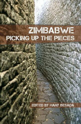 Zimbabwe: Picking Up the Pieces (2010)