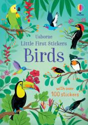 Little First Stickers Birds (ISBN: 9781805312352)