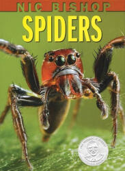 Spiders - Nic Bishop (ISBN: 9780439877565)