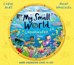 My Small World: Underwater (ISBN: 9781398516137)