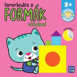 Ismerkedés a formák világával (2024)