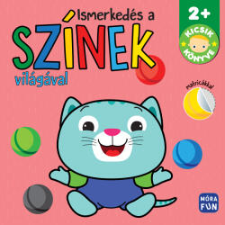 Ismerkedés a színek világával (2024)
