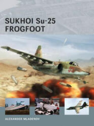 Sukhoi Su-25 Frogfoot (2013)
