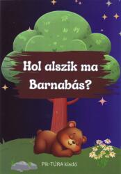 Hol alszik ma Barnabás? (ISBN: 9789638862532)