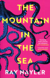 The Mountain in the Sea (ISBN: 9781399600484)