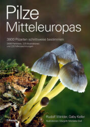 Pilze Mitteleuropas - Gaby Keller, Margrith Montalta-Graf (ISBN: 9783258083889)