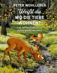 Weißt du, wo die Tiere wohnen? - Peter Wohlleben, Stefanie Reich, Dagmar Herrmann (ISBN: 9783789109416)